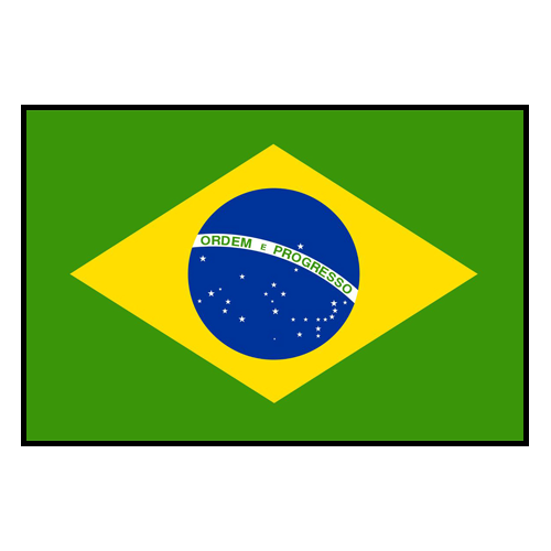 brasileirao